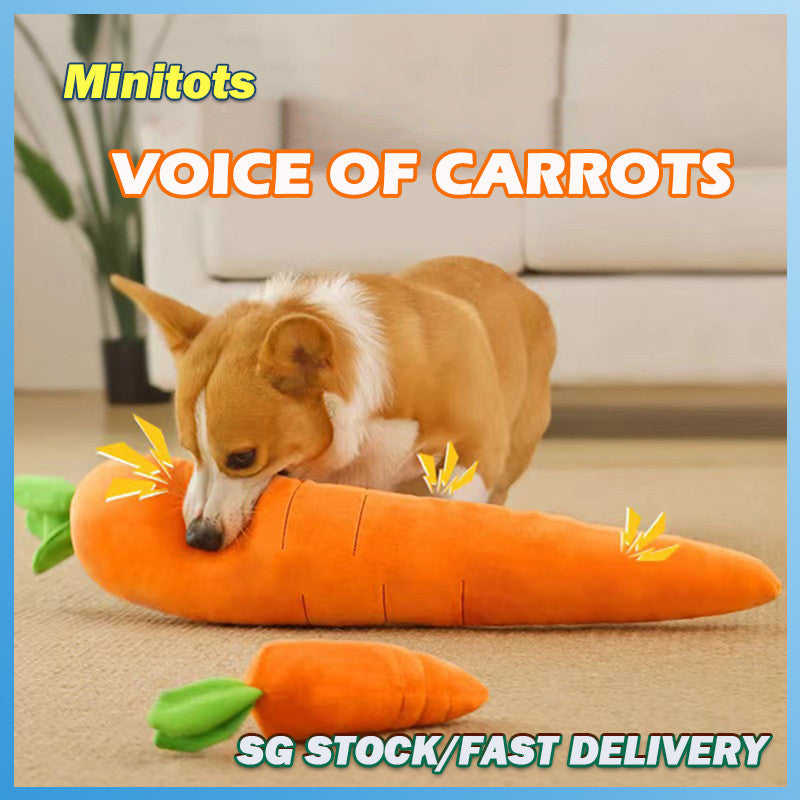 Interactive Pet Toy Carrot for Dogs & Cats
