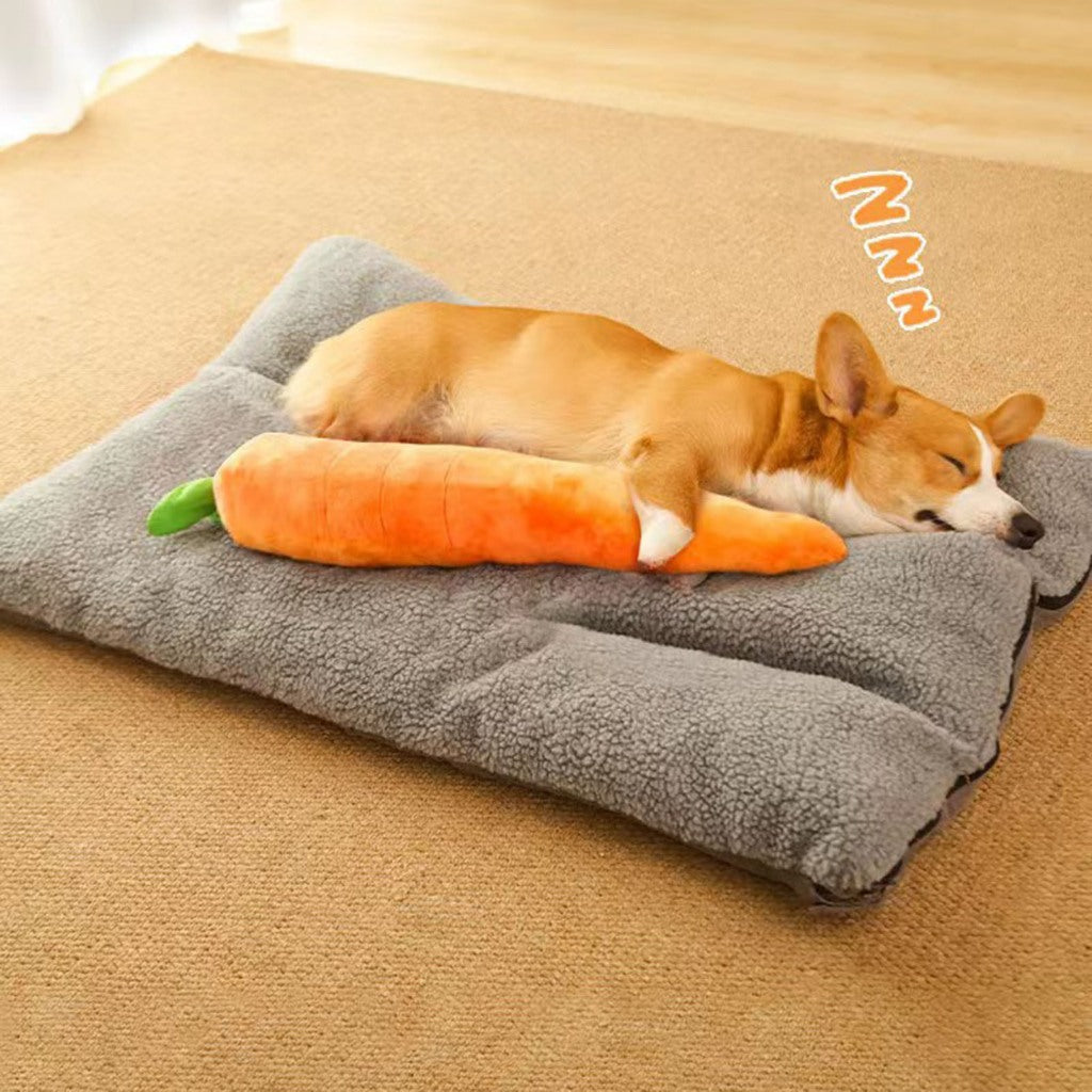 Interactive Pet Toy Carrot for Dogs & Cats