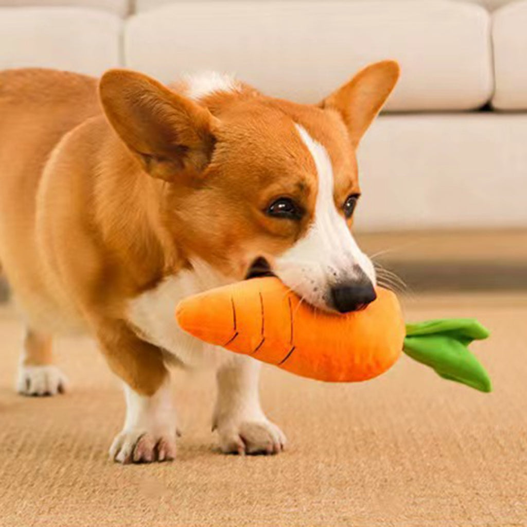 Interactive Pet Toy Carrot for Dogs & Cats