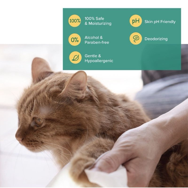 Pet Wet Wipes for Dogs and Cats