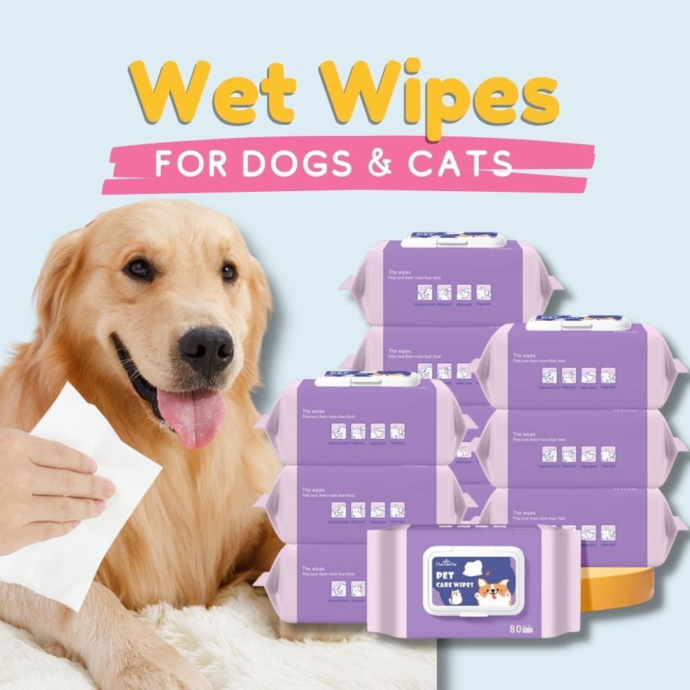 Pet Wet Wipes for Dogs and Cats